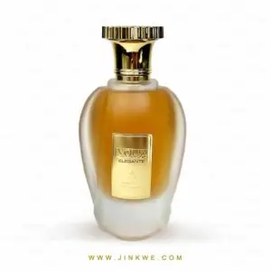 Eau de parfum Voux élégante 100 ml - Emir by Paris Corner