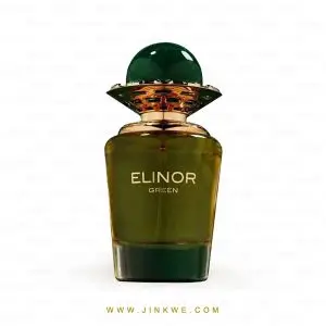 Eau de parfum Elinor Green 100 ml - French Avenue